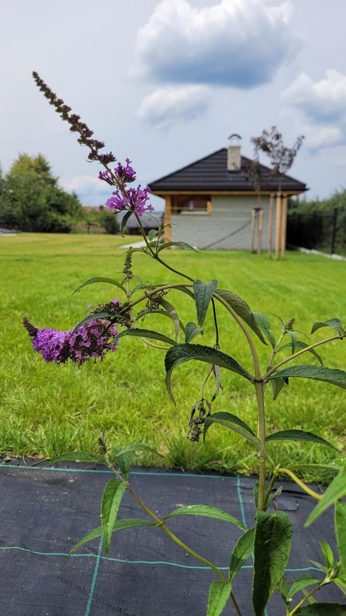 Gorskie Przysiolki W Koniakowie - Dom Z Bala Jodelka Villa Exterior photo