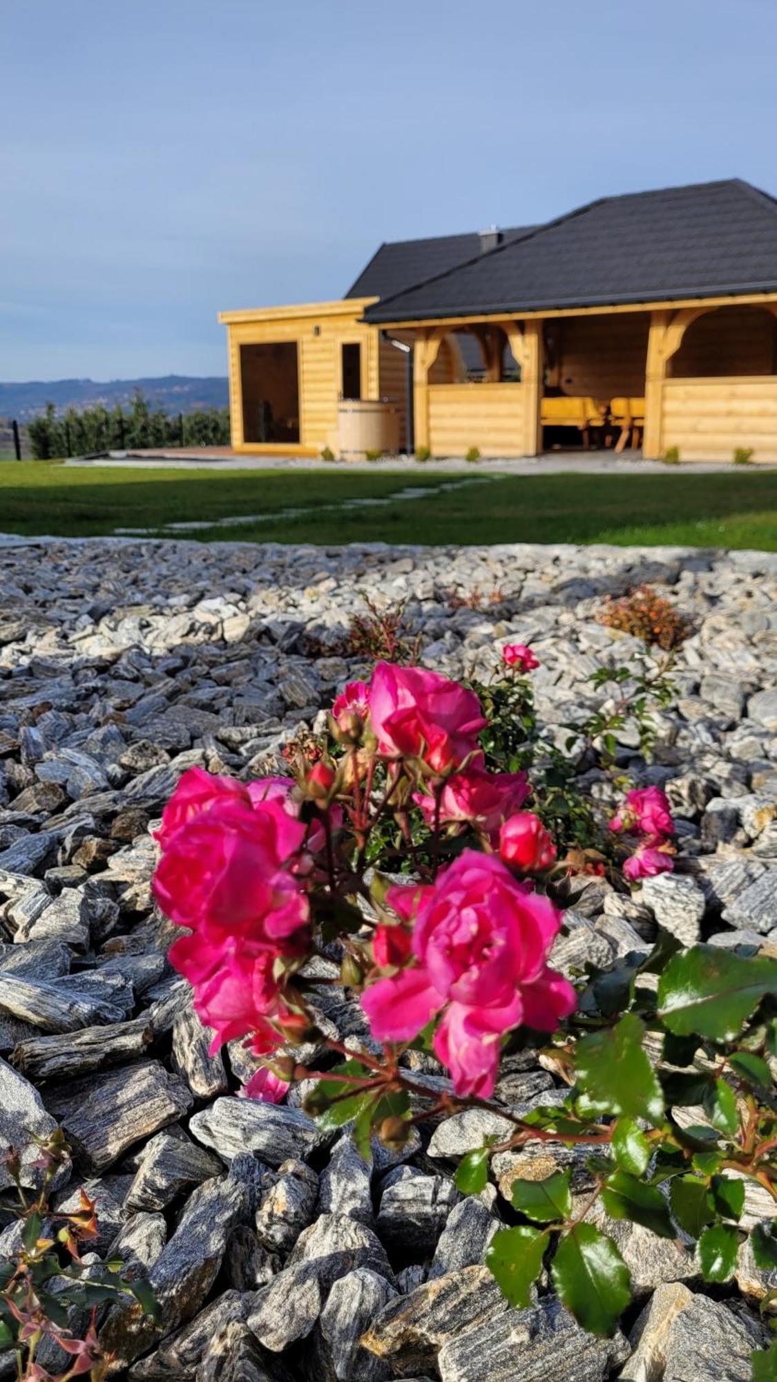 Gorskie Przysiolki W Koniakowie - Dom Z Bala Jodelka Villa Exterior photo